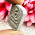 Parn Buddha Ride Fish Healing Magic Lucky Fast Rich Mee Be2540 Thai Amulet 18010