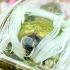Sexy Lady Attraction Love Lust Charming Oil Eper Lp Goy Be2551 Thai Amulet 18021