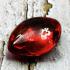 Leklai Nakee Naga Eye Healing Stone Crystal Control Mind Red Thai Amulet #18030