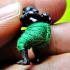Bronze HunPayon Lp Kloy Guardian Protect Be2556 Survival Green Thai Amulet 18031