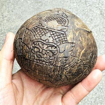 Coconut Shell Eye Rahu Eat Moon Gambling Win Rich WatSrisaTong Thai Amulet 18045