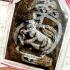 KhunPaen 7Wife Ashes Prai Guman Money Love Attraction Love Goy Thai Amulet 18047