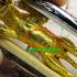 Tiger Leaping Leader Control Mind Protection Upp Magic Be2552 Thai Amulet #18064