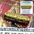 Bracelet 4in1 Takrut Lucky Love Luct Magic Arjarn O Ajarn Ole Thai Amulet #18098