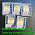 God Creator Magic Shiva Ride Tiger Lucky Wealth Rich Money Key Thai Amulet 18176