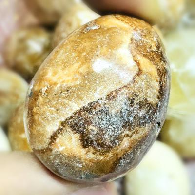 Buddha Relic Cave Stone Egg HinPhaThad SamRoiYod Leklai Money Thai Amulet 18215