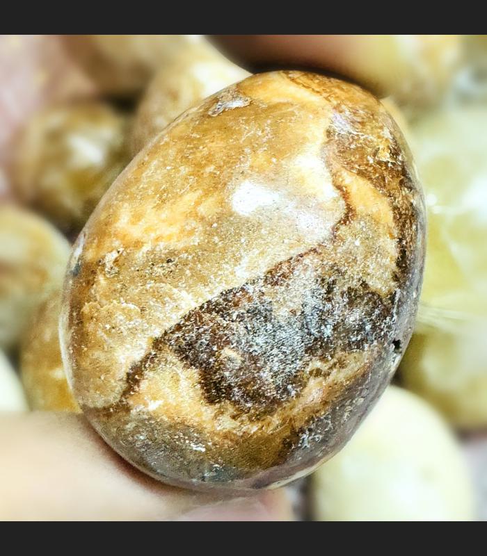 Buddha Relic Cave Stone Egg HinPhaThad SamRoiYod Leklai Money Thai Amulet 18215