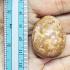 Buddha Relic Cave Stone Egg HinPhaThad SamRoiYod Leklai Money Thai Amulet 18215