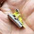 Double Takrut Tiger Leader Control Mind Command WatNok Be2555 Thai Amulet #18245