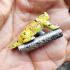 Double Takrut Tiger Leader Control Mind Command WatNok Be2555 Thai Amulet #18245