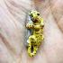Double Takrut Tiger Leader Control Mind Command WatNok Be2555 Thai Amulet #18245