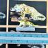 Double Takrut Tiger Leader Control Mind Command WatNok Be2555 Thai Amulet #18245