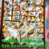 Double Takrut Tiger Leader Control Mind Command WatNok Be2555 Thai Amulet #18245