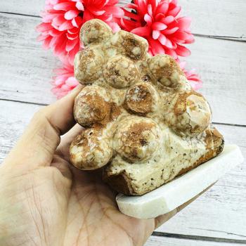 Cave Wall Healing Stone SamRoiYod HinPhraTad Buddha Relic Rock Thai Amulet 18244