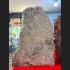 Cave Wall Healing Stone SamRoiYod HinPhraTad Buddha Relic Rock Thai Amulet 18244