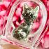 Lucky Gambling Wealth Money Rich Magic Cat Kitty Waterproof Thai Amulet #18277