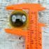 Naga Eye Leklai Magic Lucky Stone Gambling Money Ball Yellow Thai Amulet #18289