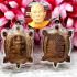 Turtle Standing Buddha Open World New Opportunity Liew Be2539 Thai Amulet #18320