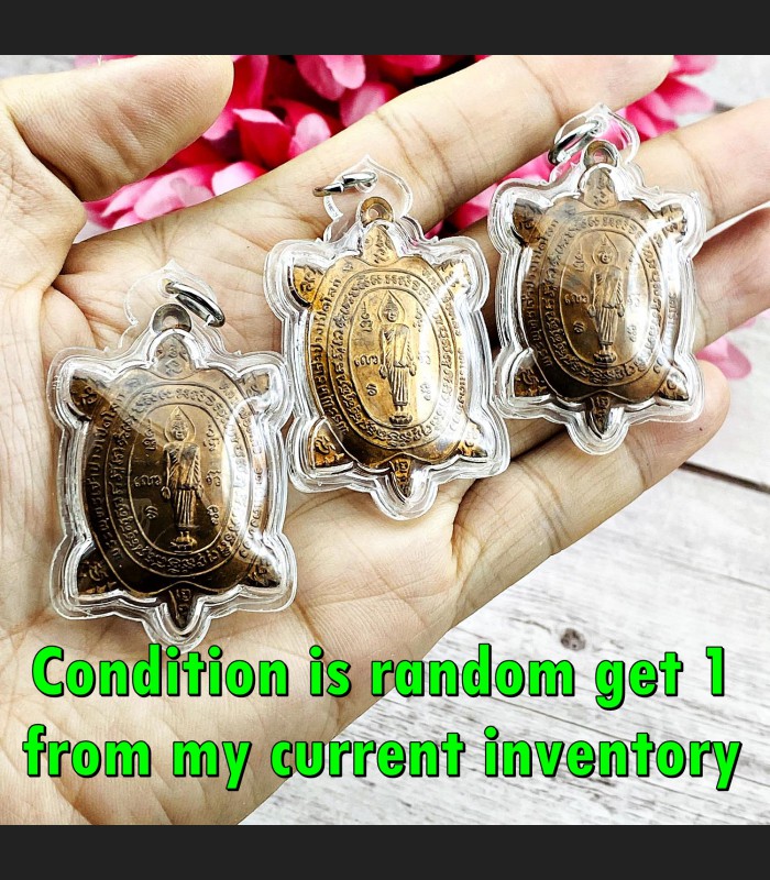 Turtle Standing Buddha Open World New Opportunity Liew Be2539 Thai Amulet #18320