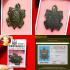 Certificate Samakom Turtle Sankajai Buddha LP Liew Koon Be2538 Thai Amulet 18335