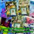 Queen Lady Nine 9tail Fox Love Lucky Rich Money Lp Kern Be2555 Thai Amulet 18361