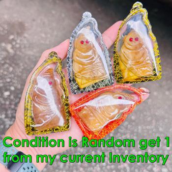 Panneng Forehead Skull Ngan Ngung Gambling Win Lucky Oil Tawee Thai Amulet 18427