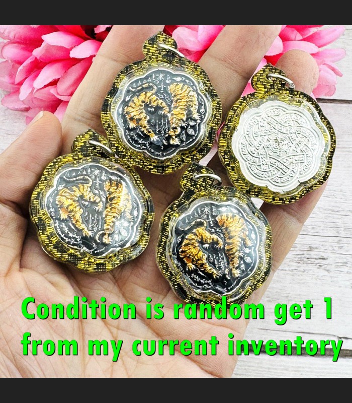 Waterproof Case Tiger Cut Head Survival Guardian Chanai Black Thai Amulet #18461