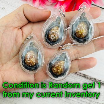 Holy Shell Magic Protection Change Future Good Pern WatBangPha Thai Amulet 18473