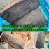 Raw Log Holy Mai NgewDam Sacred Black Wood Protection Guardian Thai Amulet 18525