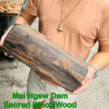 Raw Log Holy Mai NgewDam Sacred Black Wood Protection Guardian Thai Amulet 18525