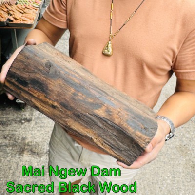 Raw Log Holy Mai NgewDam Sacred Black Wood Protection Guardian Thai Amulet 18525