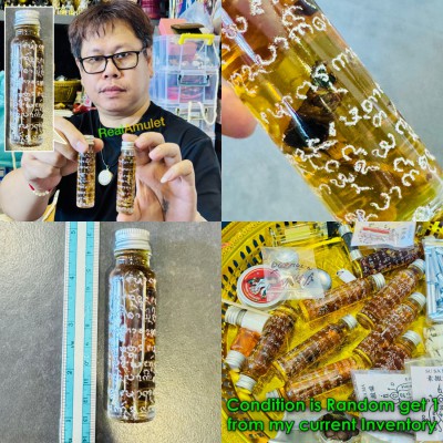 Sex lust Love Attraction Seek Soulmate Lucky Charming Oil Perm Thai Amulet 18594