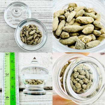 Immortal Buddha Sarira Relic Phratad Stone Rice Wealth Stupa Thai Amulet #18611