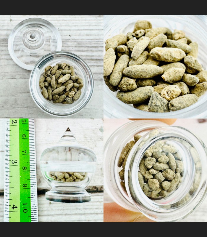 Immortal Buddha Sarira Relic Phratad Stone Rice Wealth Stupa Thai Amulet #18611