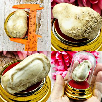 Rock Healing Stone Buddha Relic Lucky Wealth SamRoiYod PhraTad Thai Amulet 18615