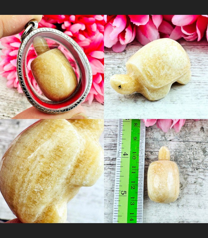 Immortal Healing Stone luck Turtle HinPhaThad SamRoiYod Leklai Thai Amulet 18618