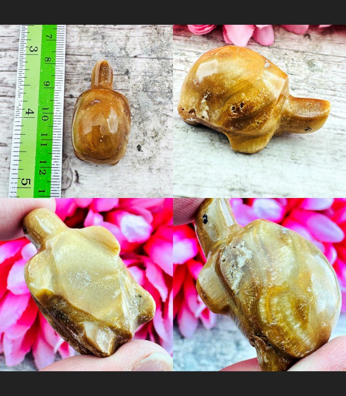 Immortal Healing Stone Rich Turtle HinPhaThad SamRoiYod Leklai Thai Amulet 18619