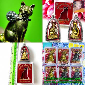 Figure Cat Diamond Wealth Windfall Gambling Lucky Magic Kambu Thai Amulet #18630