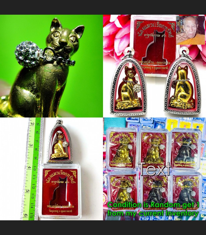 Figure Cat Diamond Wealth Windfall Gambling Lucky Magic Kambu Thai Amulet #18630