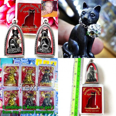 Kitty Lucky Cat Whisper Windfall Gambling Rich Win Money Kambu Thai Amulet 18631