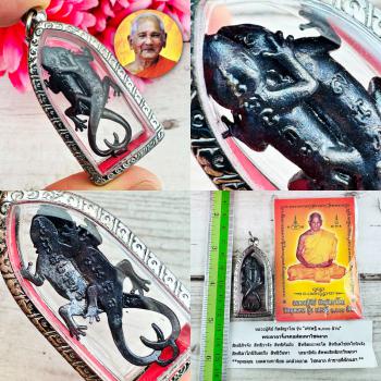 Couple Gecko Breed Intercourse Attraction Sexual Love Lust Key Thai Amulet 18668