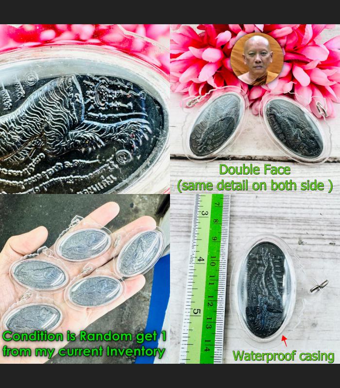 Immortal Medal Tiger Cut Head Reflect Revers Turn Lucky Chanai Thai Amulet 18704 Immortal Medal Tiger Cut Head Reflect Revers Turn Lucky Chanai Thai Amulet 18704