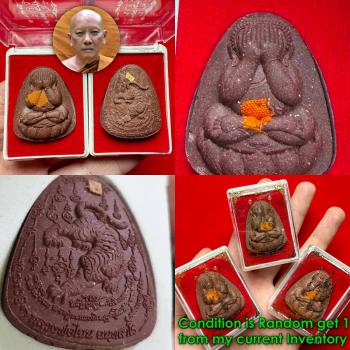 Pidta Closed Eye Great Protection Tiger Cut Head Chanai Be2568 Thai Amulet 18719