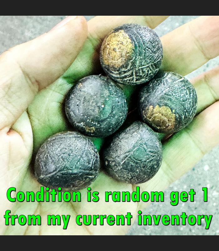 Takud Ball Rahu Coconut Win Gambling Wealth Money Watsrisatong Thai Amulet 18738