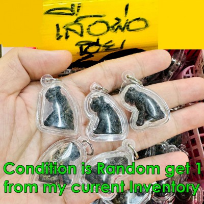 Miniature Tiger Waterproof Casing Wealth Leader Command Mind Thai Amulet #18746