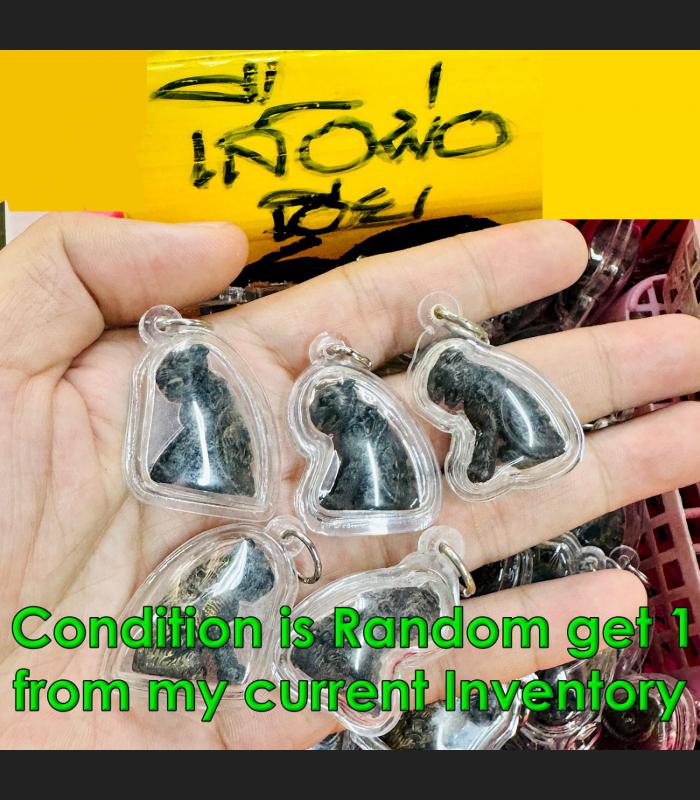 Miniature Tiger Waterproof Casing Wealth Leader Command Mind Thai Amulet #18746 Miniature Tiger Waterproof Casing Wealth Leader Command Mind Thai Amulet #18746