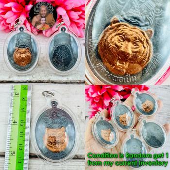 Waterproof Medal WatBangpha Pern Be2543 Tiger Change Fortune Thai Amulet #18780